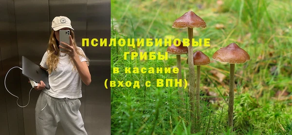 метадон Алексеевка