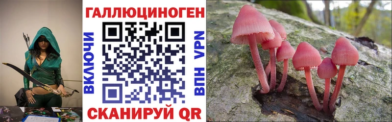 Псилоцибиновые грибы прущие грибы  Осинники 