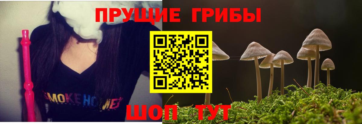 Псилоцибиновые грибы MAGIC MUSHROOMS Осинники
